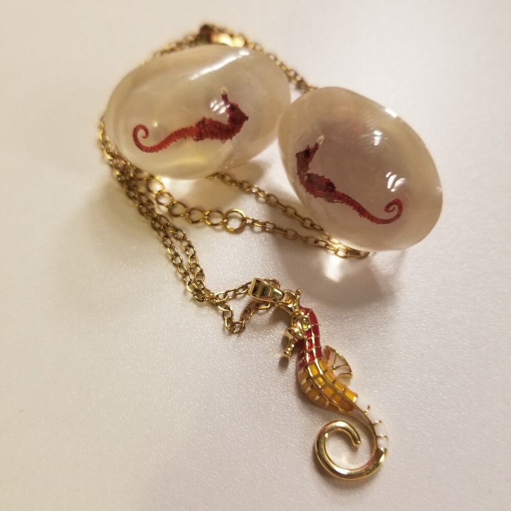 Seahorse Necklace; Vintage Real Seahorse Clip Ons Set